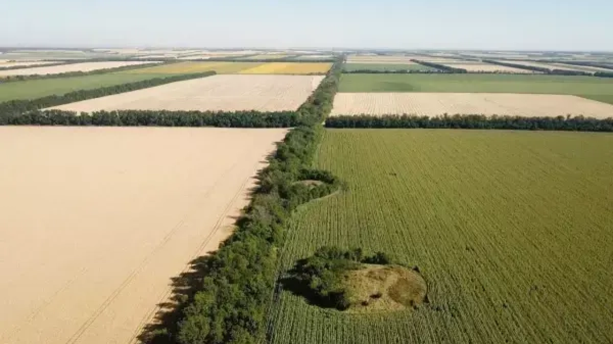 19 древних курганов и поселений Дона получили федеральную защиту