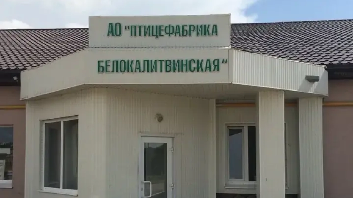 Старейшая птицефабрика Ростовской области признана банкротом из-за долга в 20 млн рублей