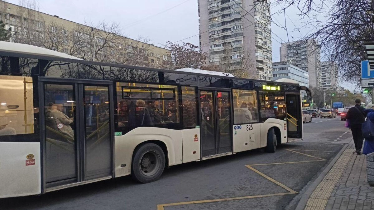 Маршрут №325 из Новочеркасска продлён до Багаевской: изменения с 3 апреля