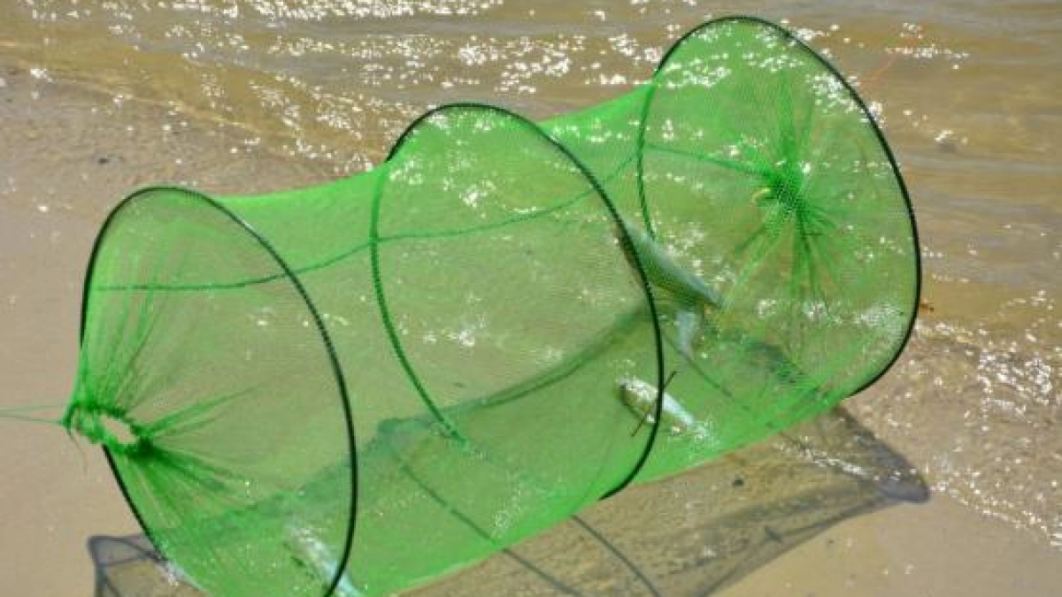 Морская рыба вытесняет пресноводную в реках Ростовской области