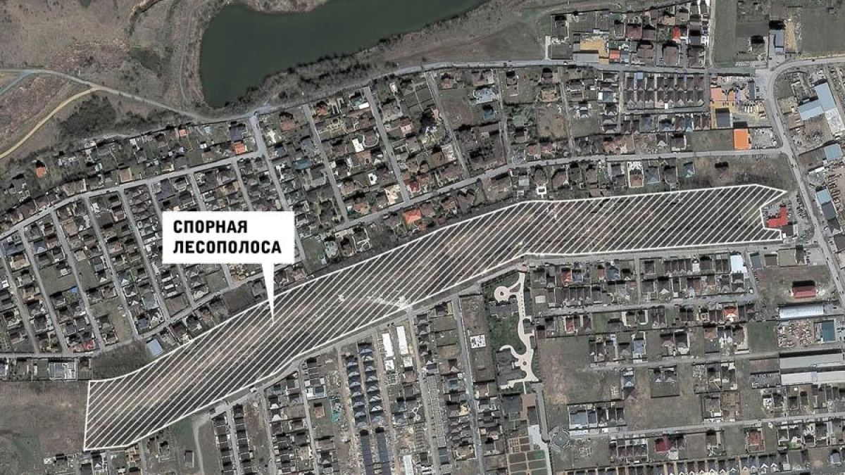 Суд вернул муниципалитету 14 га лесополосы, проданной за бесценок в 2015 году