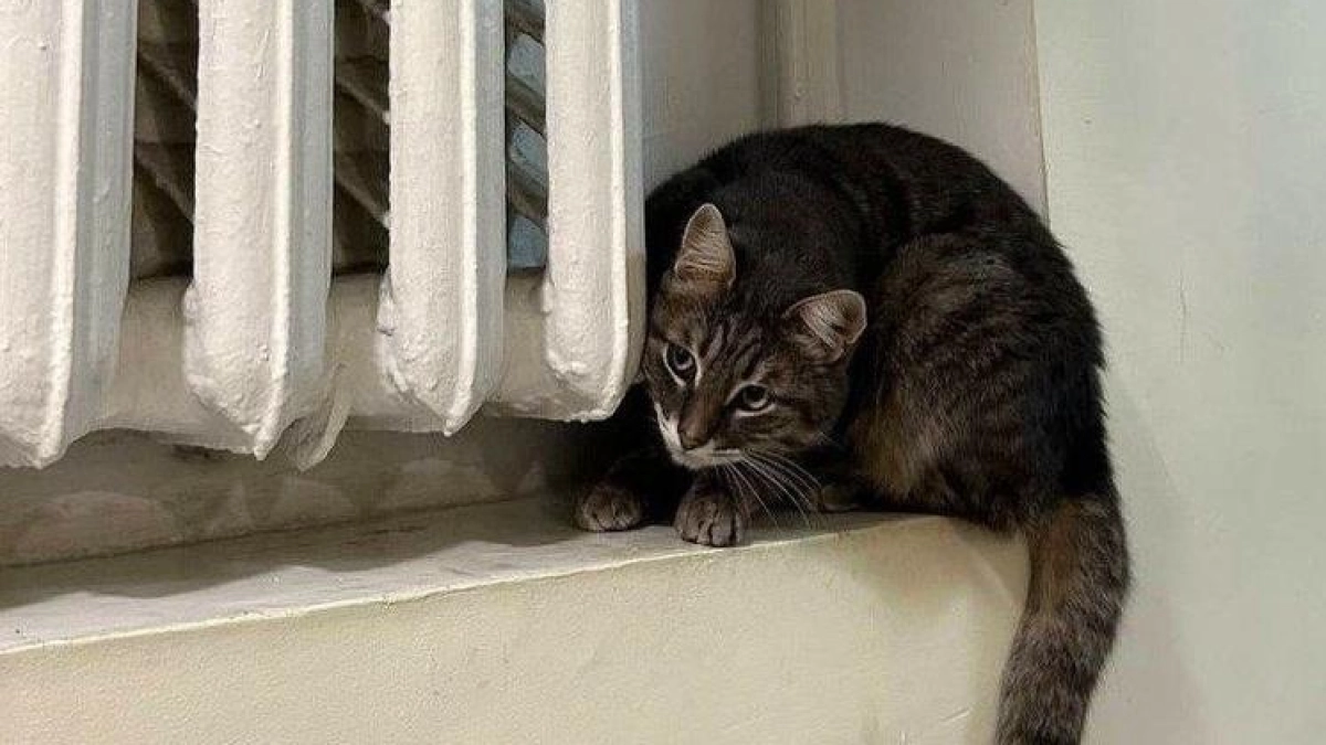 Таганрогское МУП отапливало город с просроченными котлами и 20 нарушениями