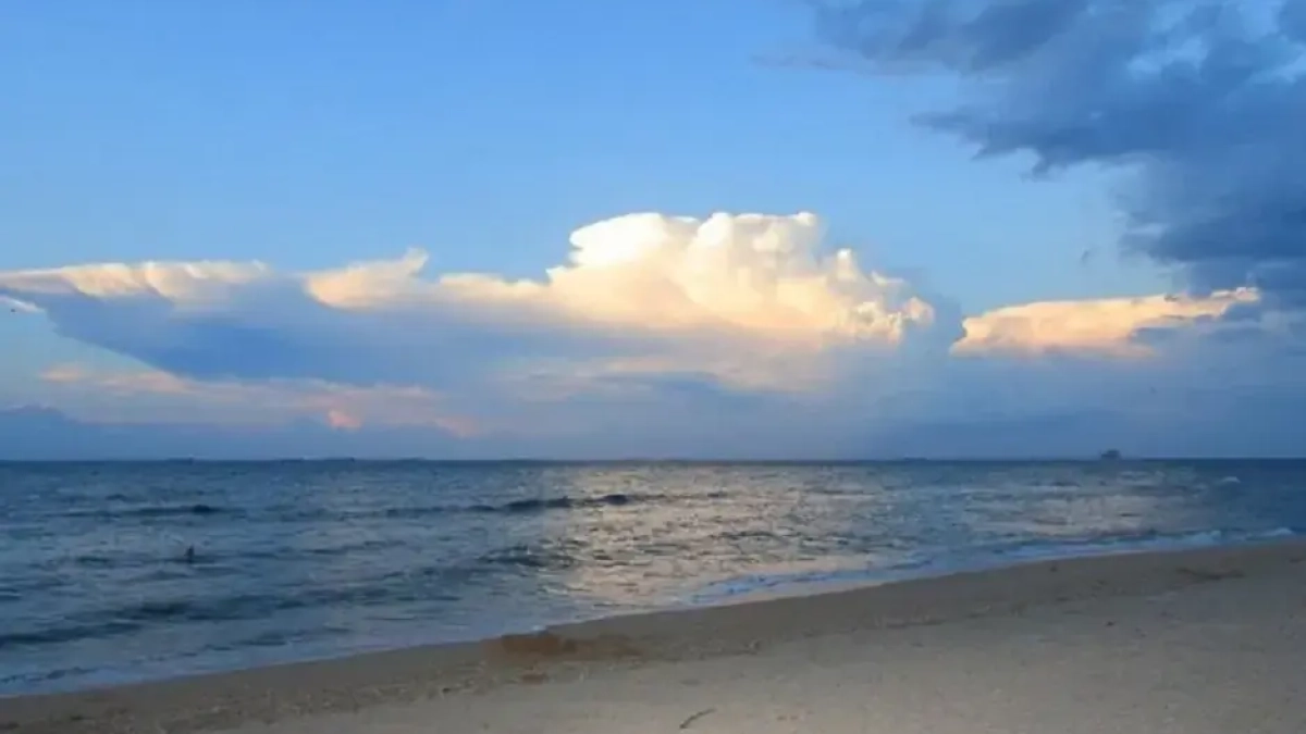 Азовское море сравнили с нефтяным портом Франции: учёные ЮНЦ РАН замерили углеводороды