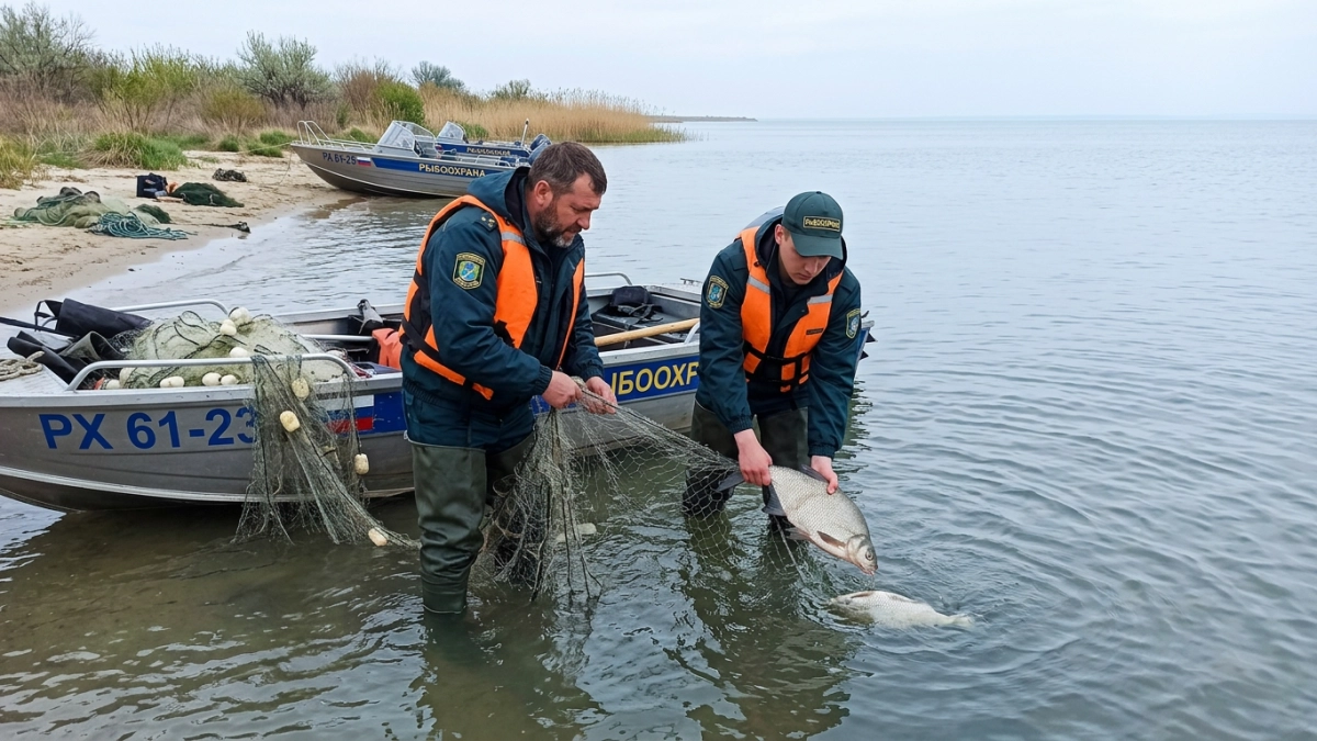 Операция «Путина-2026»: из залива изъяли 2 км сетей и спасли 360 рыб