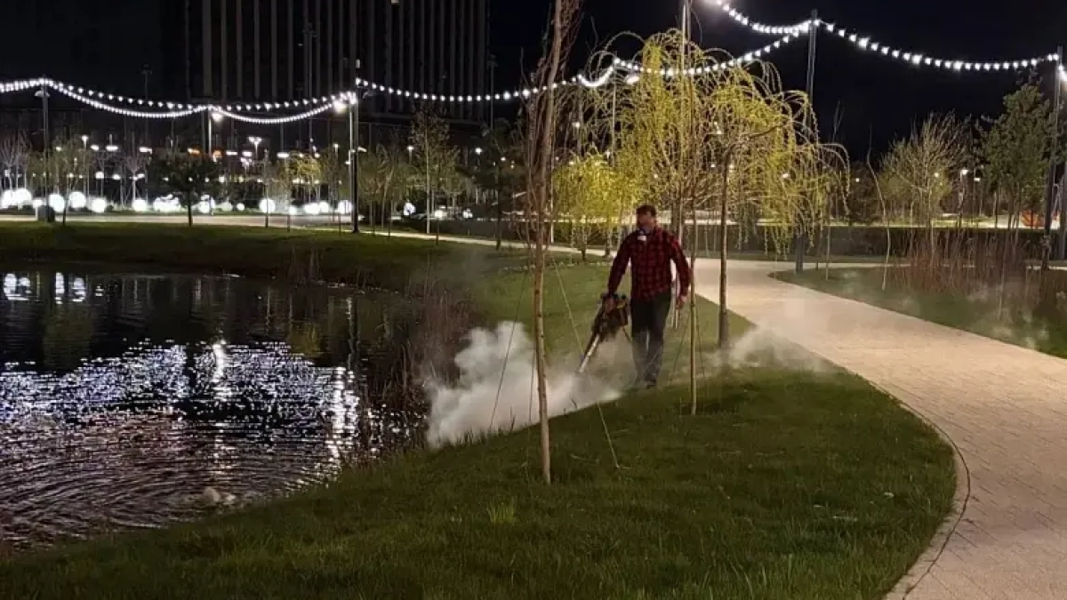 В 13 парках Ростова обработали зоны у детских площадок от клещей и грызунов