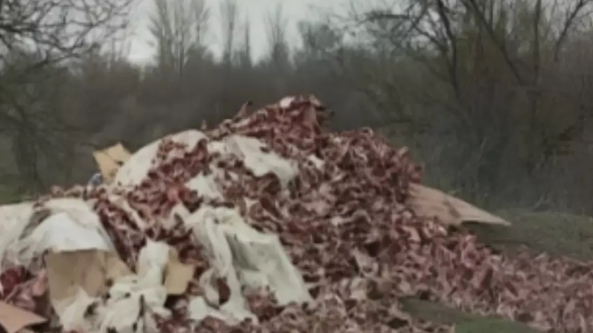 Предпринимателя из Ростова оштрафовали за свалку мяса на трассе