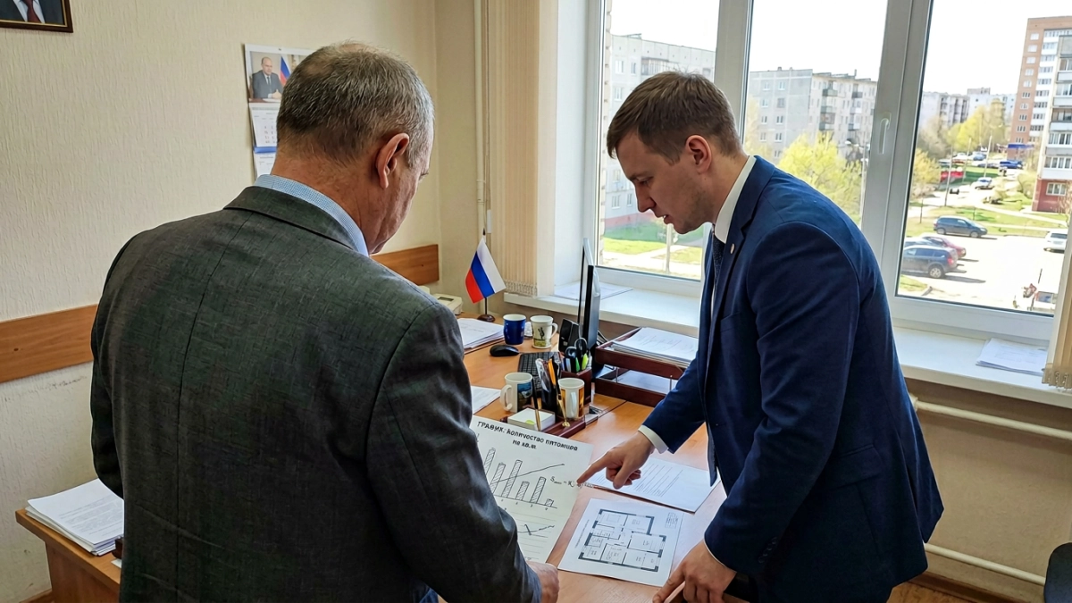 Ростовские депутаты хотят ограничить число кошек и собак в квартирах