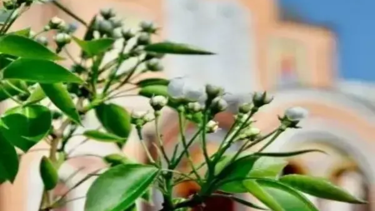 Благодатный огонь из Иерусалима доставили в храмы Ростова-на-Дону