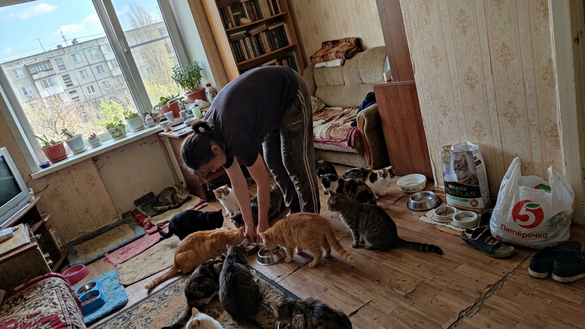 Ростовские депутаты просят Москву ограничить число питомцев в квартирах