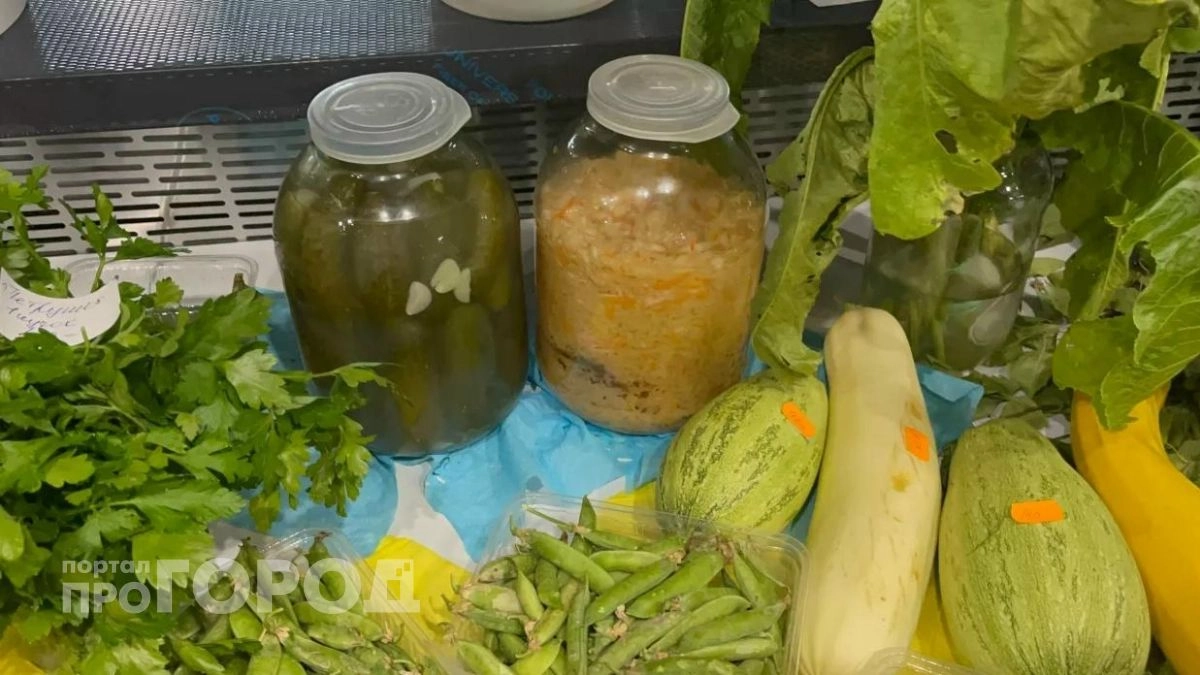 Вы рискуете здоровьем: врачи назвали болезни, при которых квашеная капуста превращается в скрытую угрозу