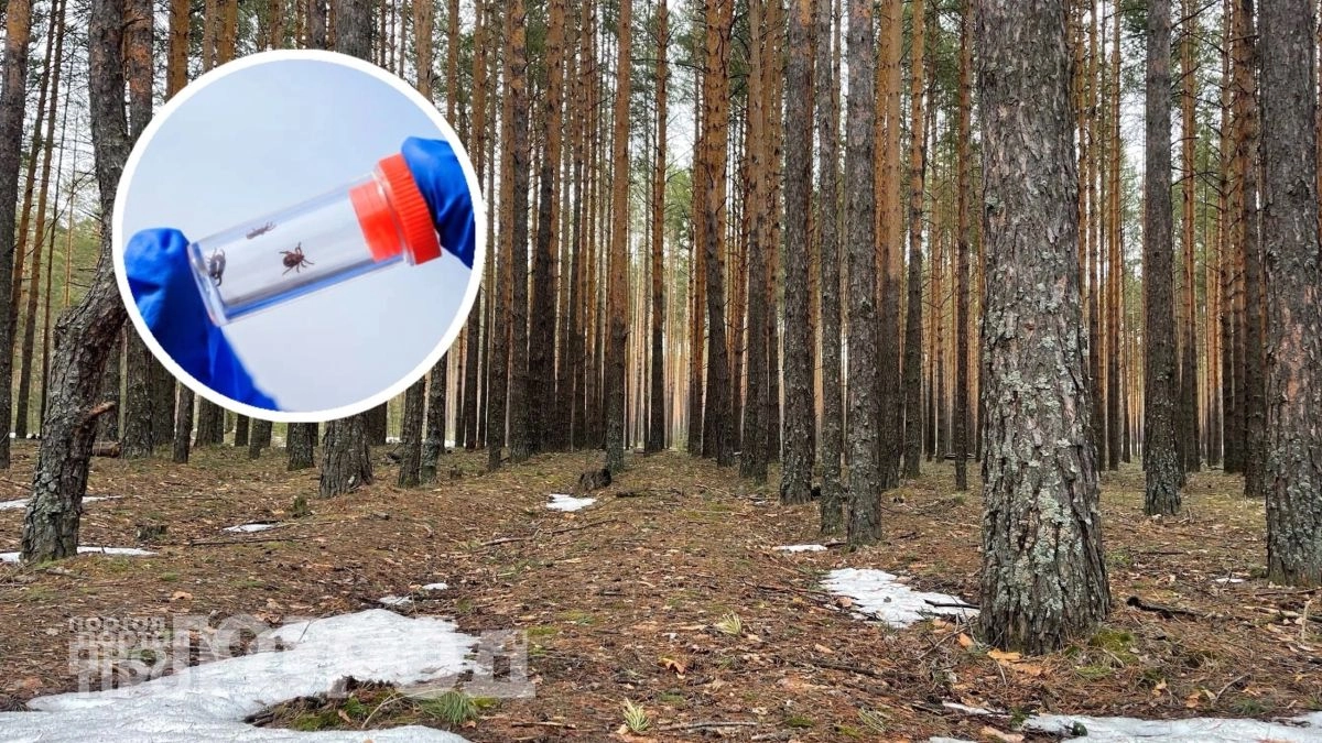 Один копеечный раствор для обработки одежды: клещи обходят вас стороной весь сезон и не садятся на кожу