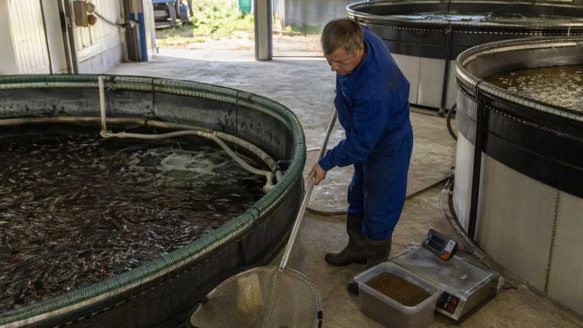 В Ростовской области продают рыбоводческий комплекс на 15 тонн рыбы за 78 млн