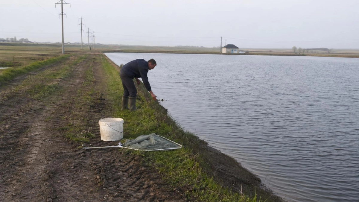 Акваферму с водоёмом 200 гектаров продают под Таганрогом за 22 млн