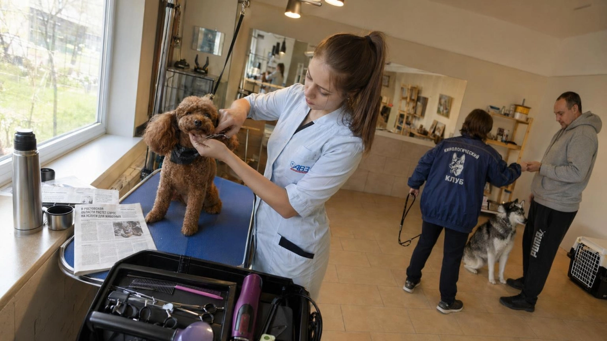Груминг и дрессировка: спрос в Ростовской области вырос до 43%