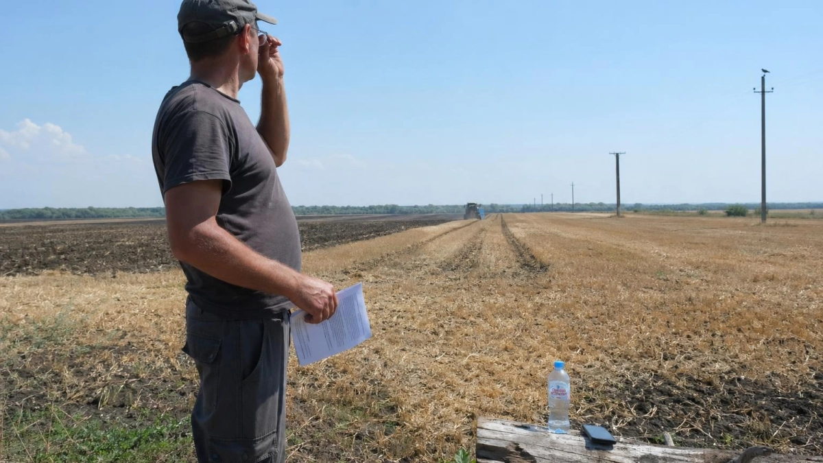 Ростовская область застраховала более 1,2 млн га озимых при субсидии 50%