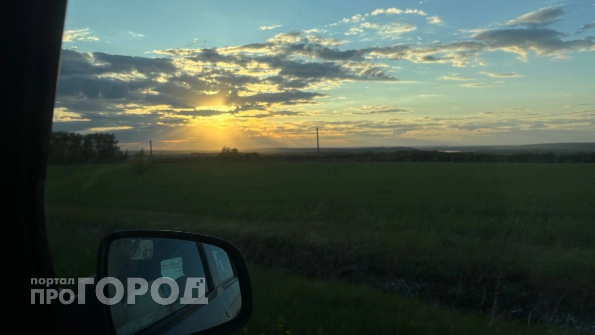 Умеренно, тепло, с грибами: апрельская погода предсказала характер лета на Дону