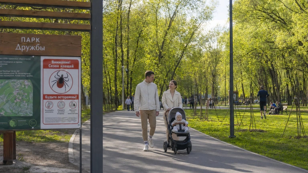 В Ростовской области клещи укусили 600 человек — вдвое меньше, чем год назад