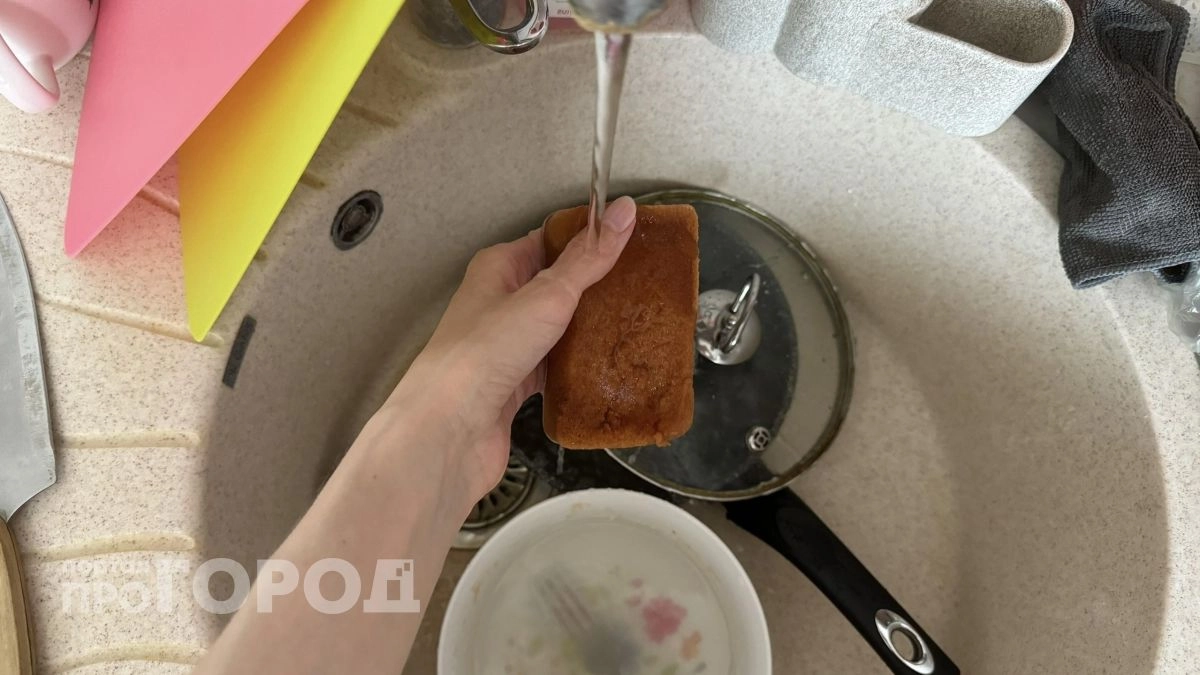 Ваша губка для посуды опаснее унитаза: посмотрите, чем именно ее заменяют практичные европейские хозяйки