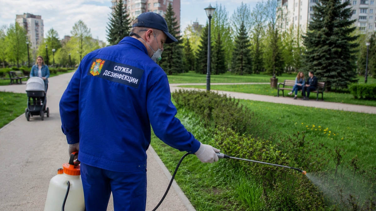 Болезнь Лайма в Ростове встречается вдвое чаще, чем в среднем по области