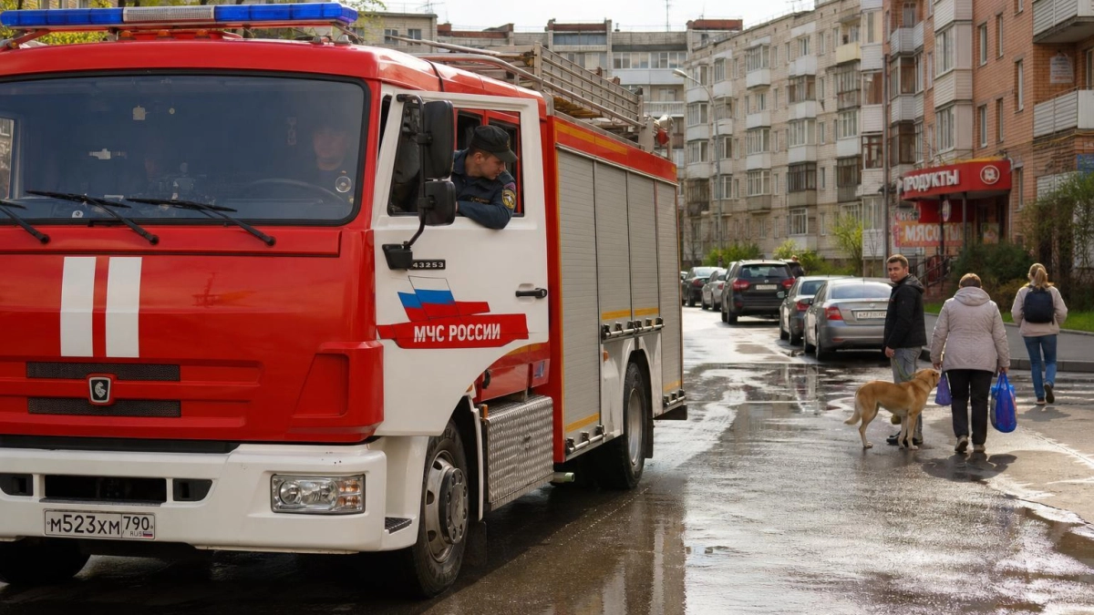 Восемь пожаров за сутки в Ростовской области: один спасён, двое погибли в ДТП