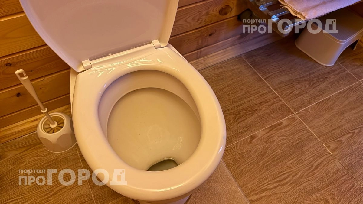 Перестаньте смывать воду с открытой крышкой: вы даже не представляете какие бактерии оседают на щетках