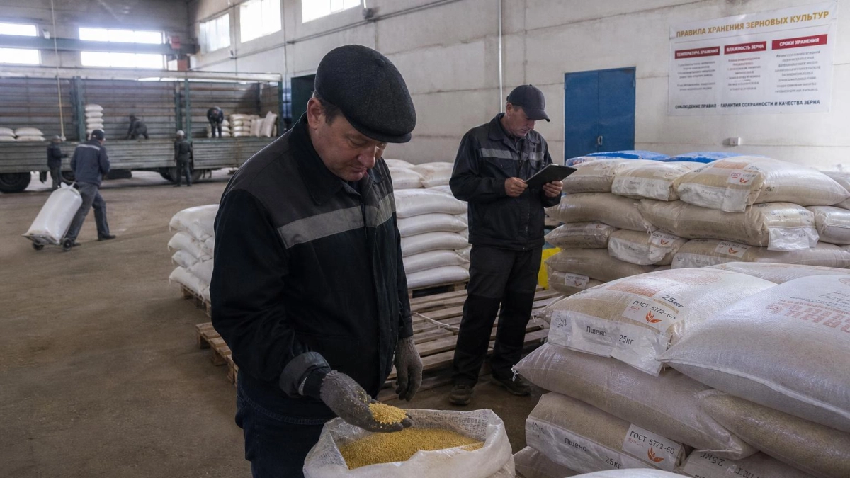 Посредник из Краснодара присвоил деньги за 200 тонн пшена