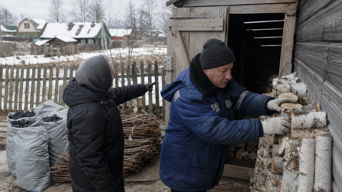 Питерская фирма не поставила дрова на 11 млн и попала в чёрный список
