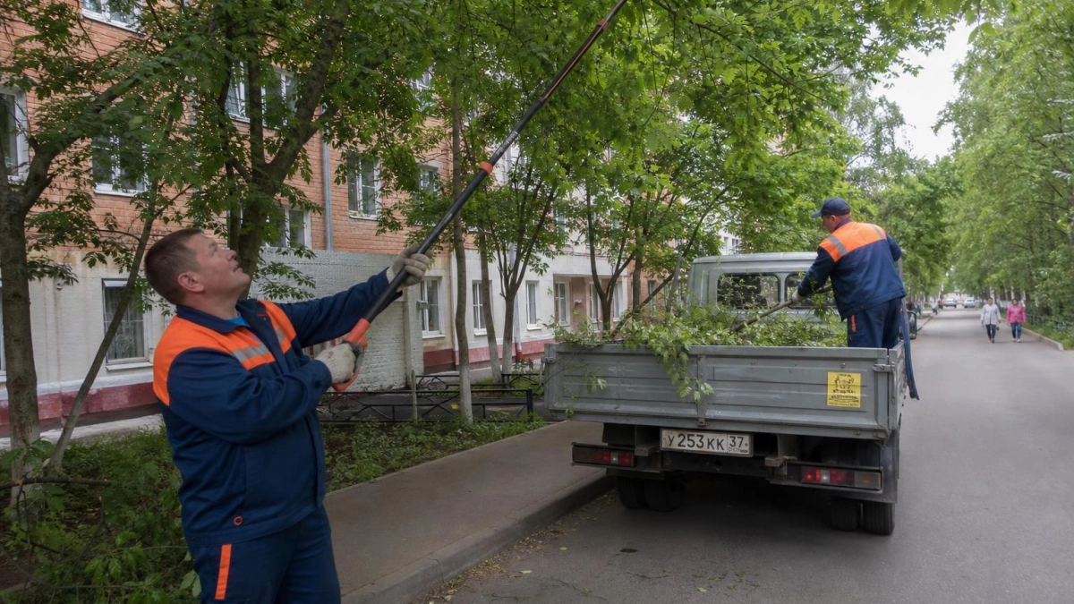 В Ростове из-за ливней и ветра до 25 м/с убирают упавшие деревья