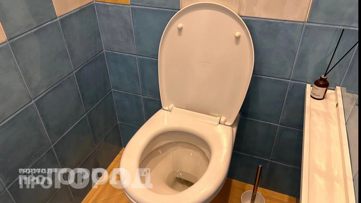 Вы губите свои трубы каждый день: сантехник назвал список привычных предметов, которые пора смывать в мусорку