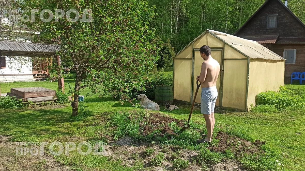 Проведите простой тест с полотенцем на даче прямо сейчас: всего пять минут и вы точно узнаете об угрозе клещей