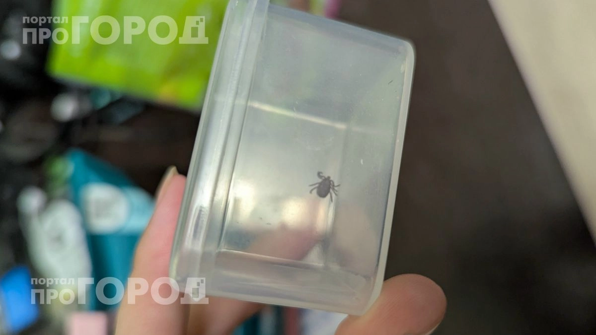 Больше никакой защиты из аптеки: просто капните это средство на обувь и забудьте про клещей на весь сезон
