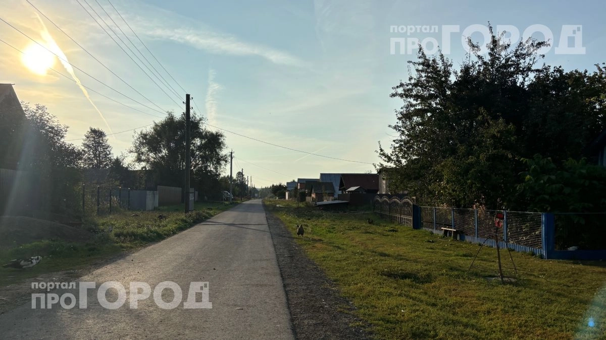 Берите на заметку: какие привычные действия на дачных дорогах обернутся крупным штрафом с 1 июня