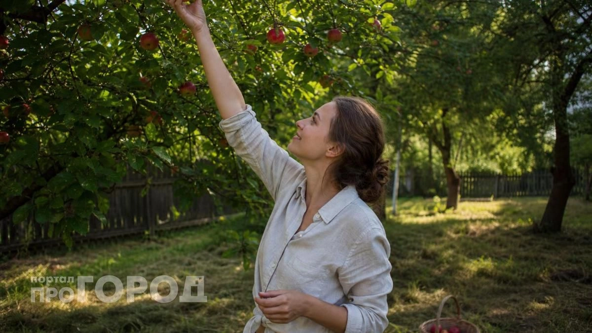 Забудьте про химикаты на яблоне: просто повесьте это в июне и весь урожай останется чистым без червей