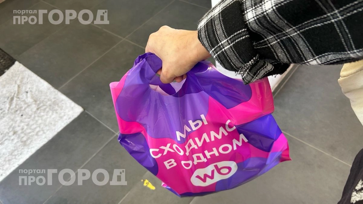 Эра низких цен на маркетплейсах закончилась: почему опытные покупатели массово удаляют Wildberries и Ozon