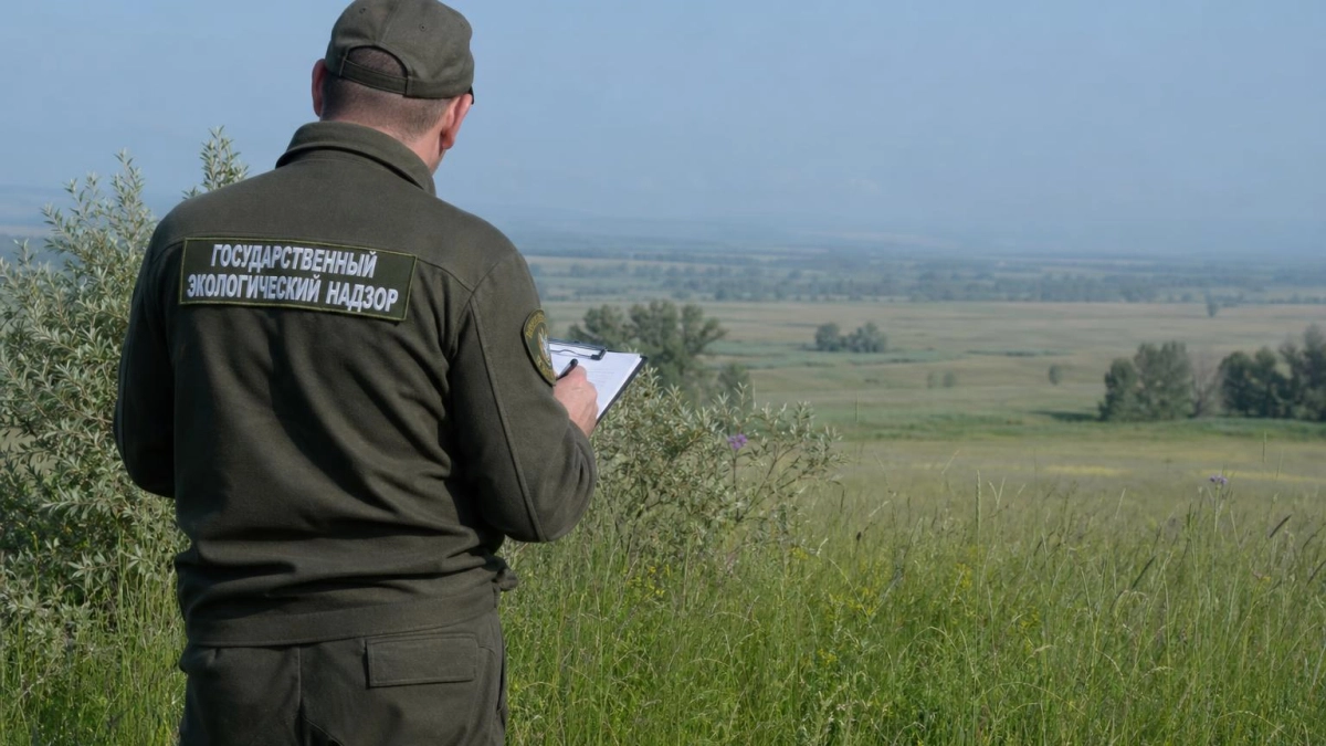 Скот пасли в охраняемых балках: хозяйство оштрафовали на 15 тысяч