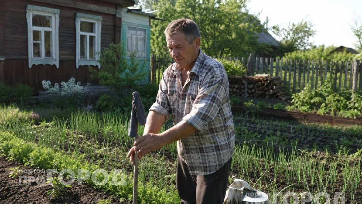 Больше никаких укусов на даче: простой трюк с носком на палке избавит от комаров и мошек за секунды
