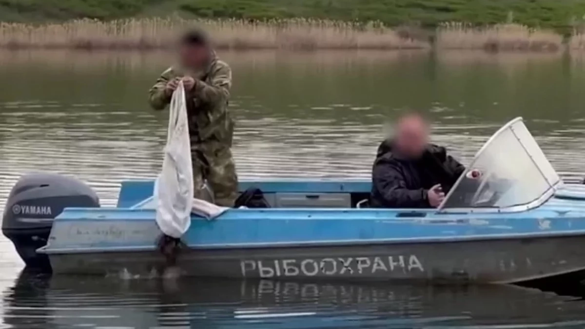 На Дону разрешили ловить раков и использовать блёсны на отдельных участках