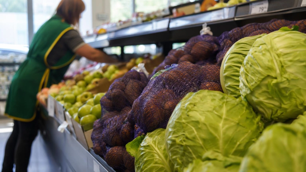 В Ростовской области за неделю картофель подорожал на 7,5%, задержаны двое чиновников