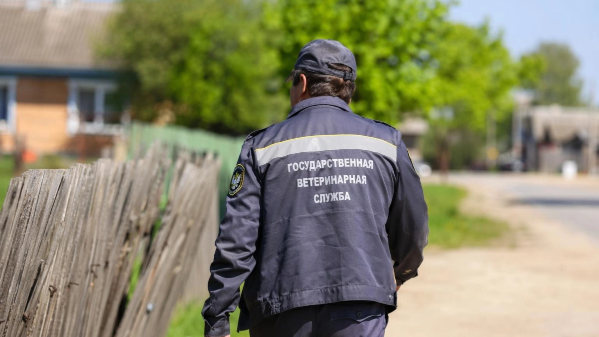В Куйбышевском районе ввели карантин по бешенству после случая у домашней собаки