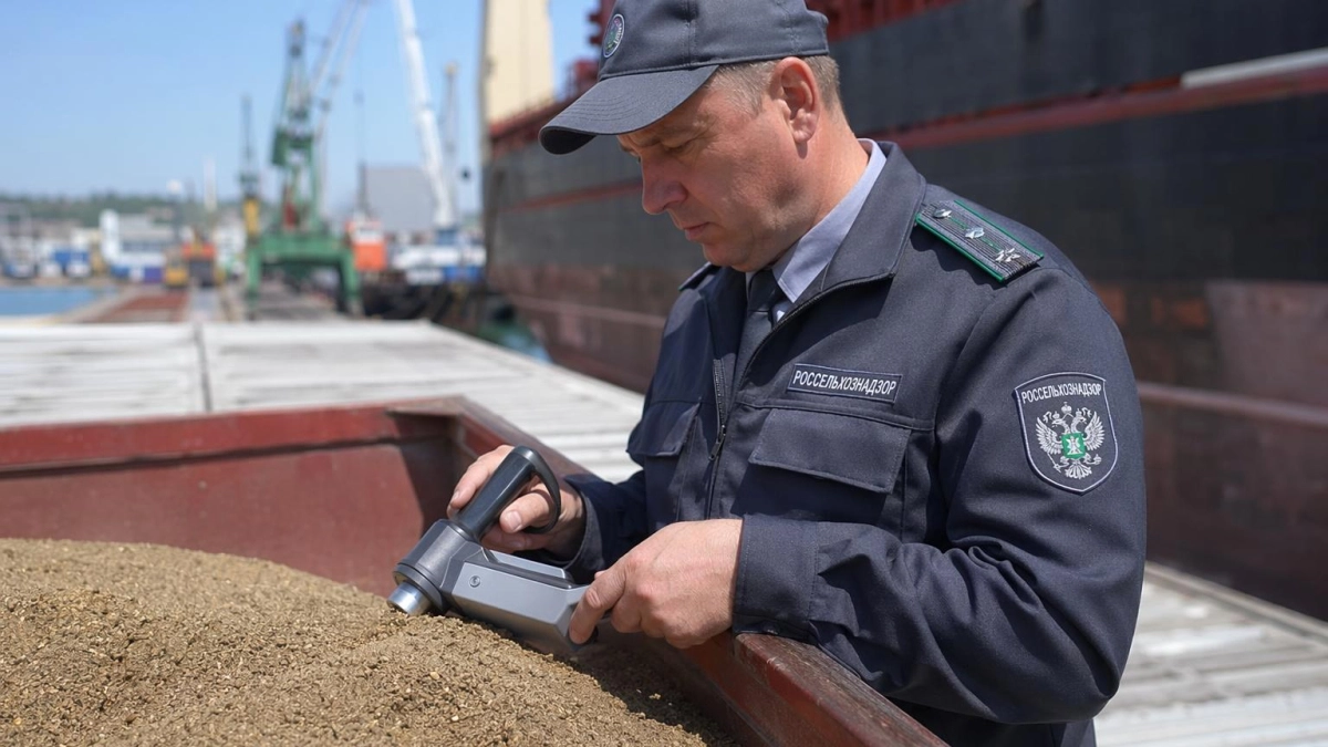 Из Ростовской области в Турцию отправили 2,9 тыс. тонн шрота после проверки