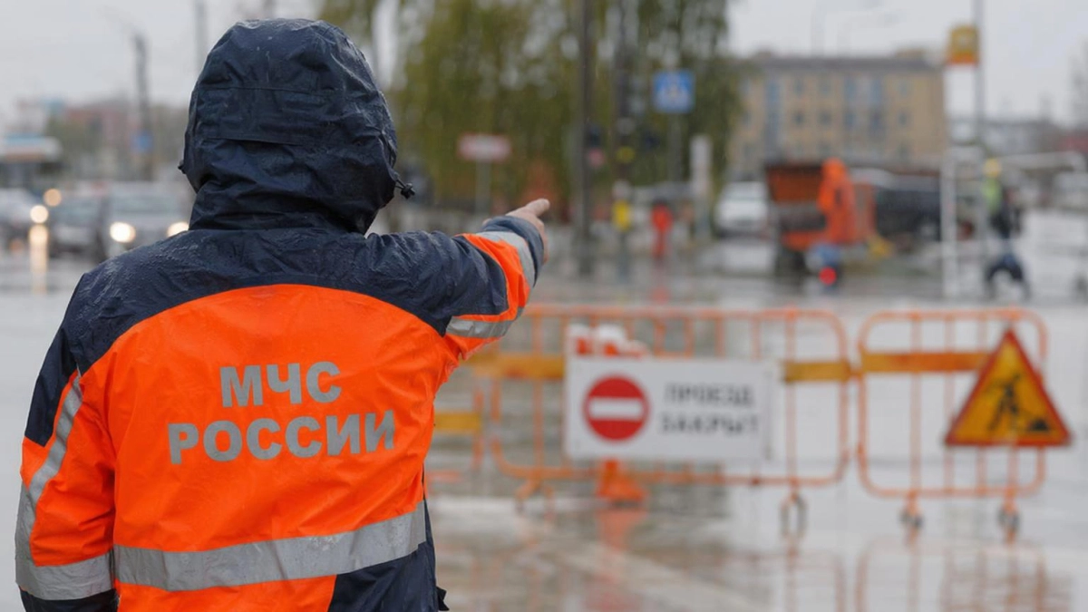 Упавшее во время ливня дерево парализовало движение на Красноармейской в Ростове