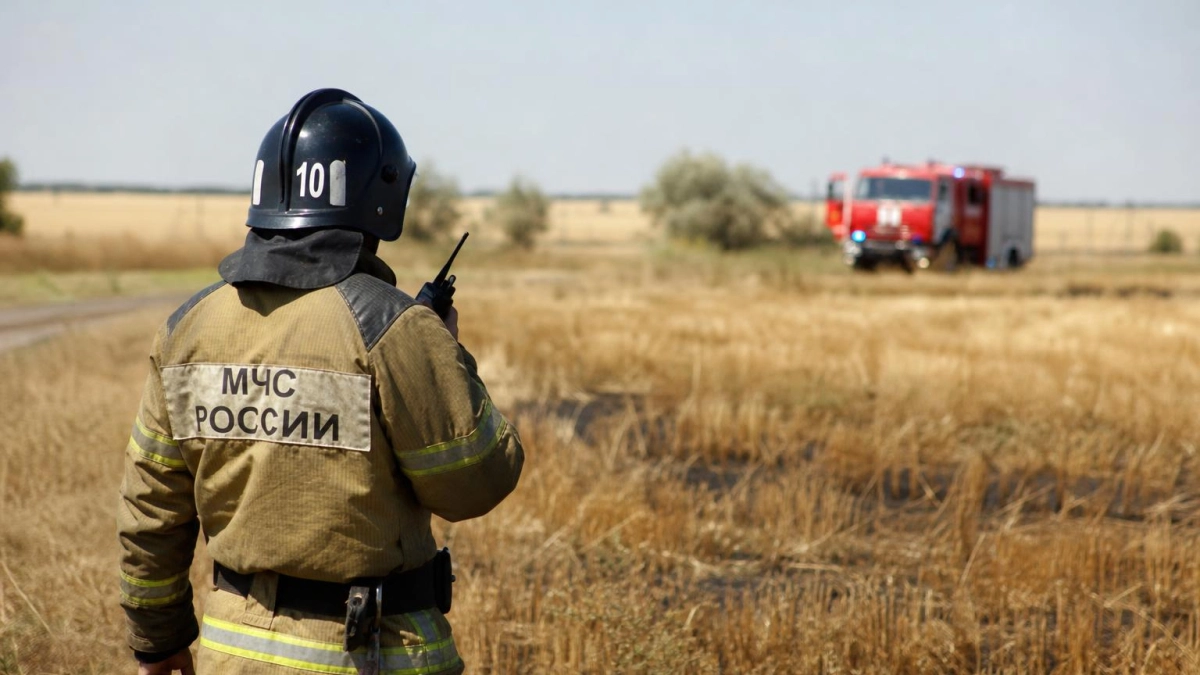 В Ростовской области объявили штормовое предупреждение из-за пожароопасности пятого класса