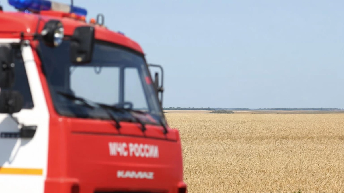 После атаки БПЛА в Ростовской области быстро потушили пожары на сельхозугодьях
