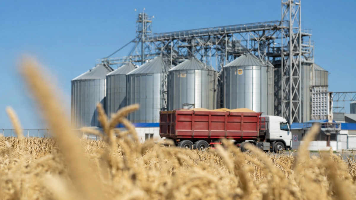 Экспорт масложировой продукции из Ростовской области сократился на фоне задержек судов