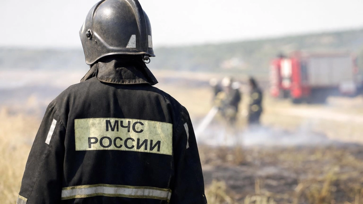 На Дону за неделю потушили 96 природных пожаров на площади 73 гектара