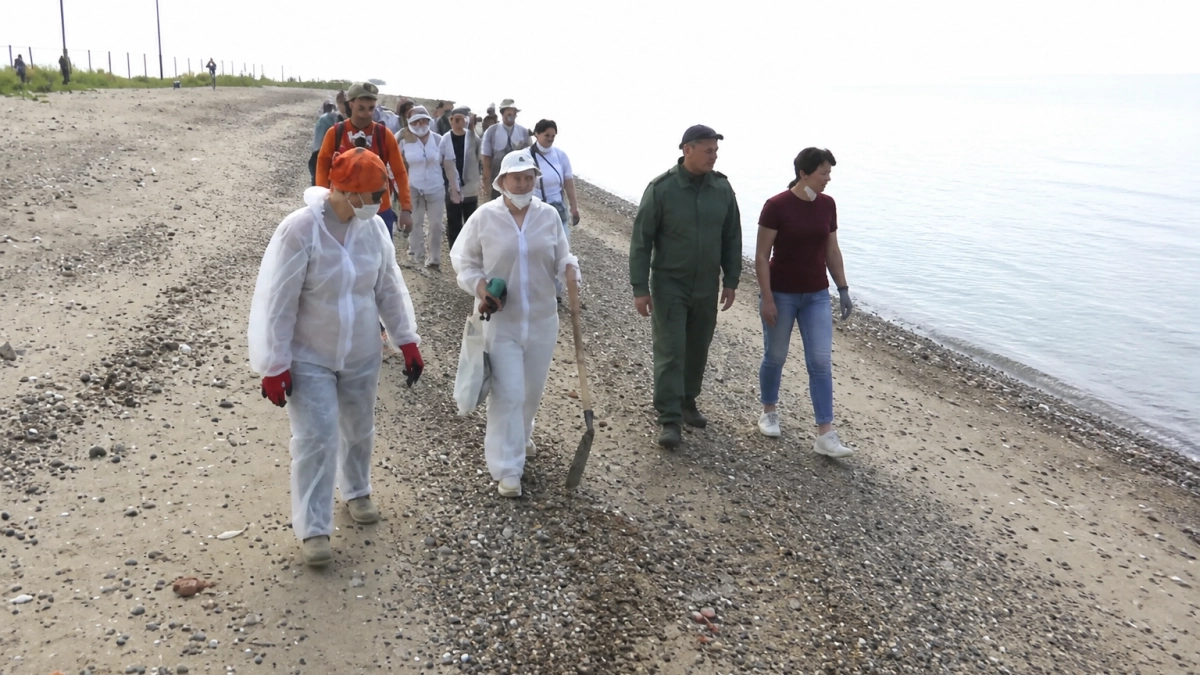 После атаки БПЛА волонтеры и экологи очищают берег Таганрогского залива