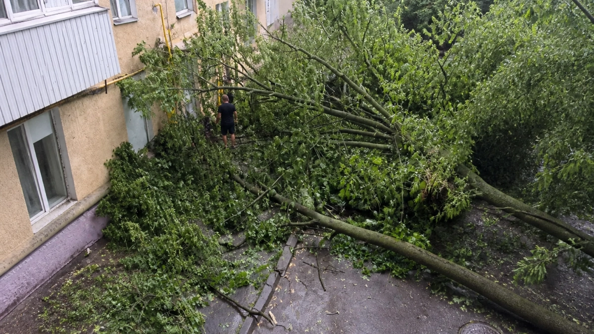 После урагана в Ростовской области прокуратура взяла под контроль восстановление света