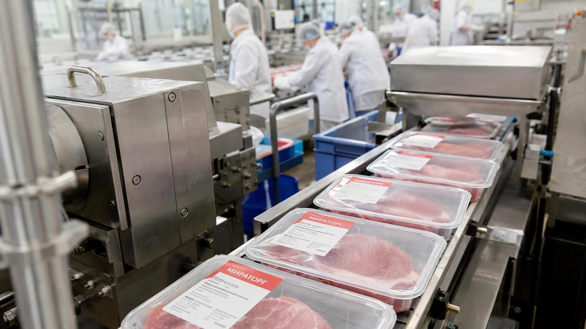 В Мясниковском районе запустят мясоперерабатывающий завод с 300 новыми рабочими местами