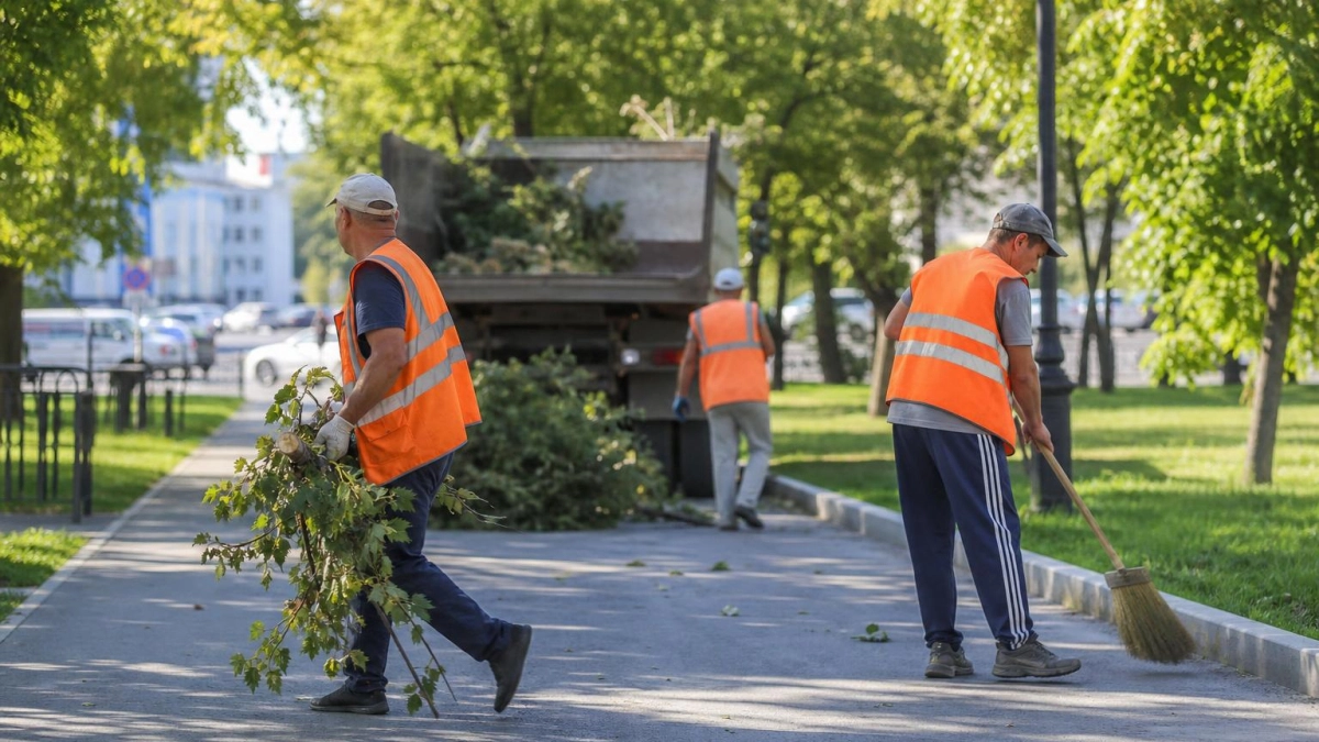 В Ростове-на-Дону на субботнике после урагана убрали более 150 деревьев