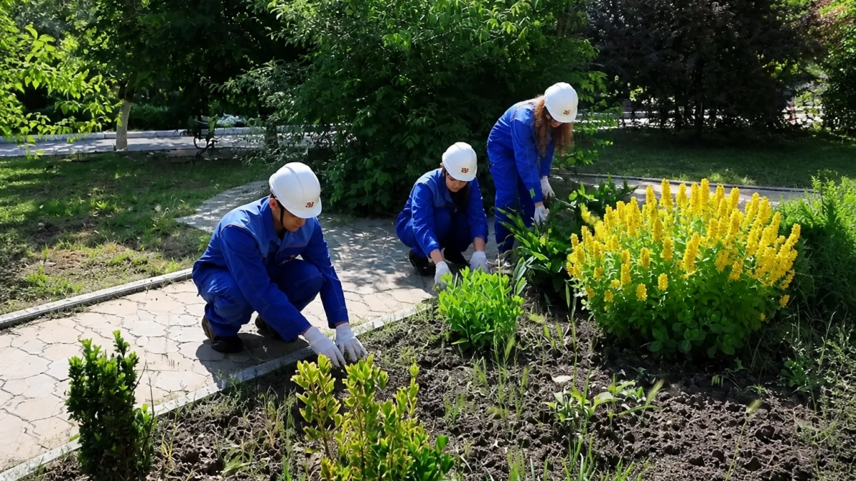 В Ростовской области за лето официально трудоустроили 9,7 тысячи подростков